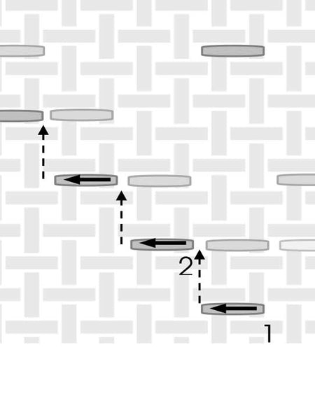 Verhoplut Glasses Case